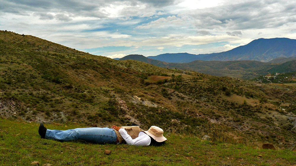 Siesta