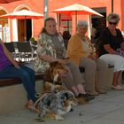 Siesta der Ladies