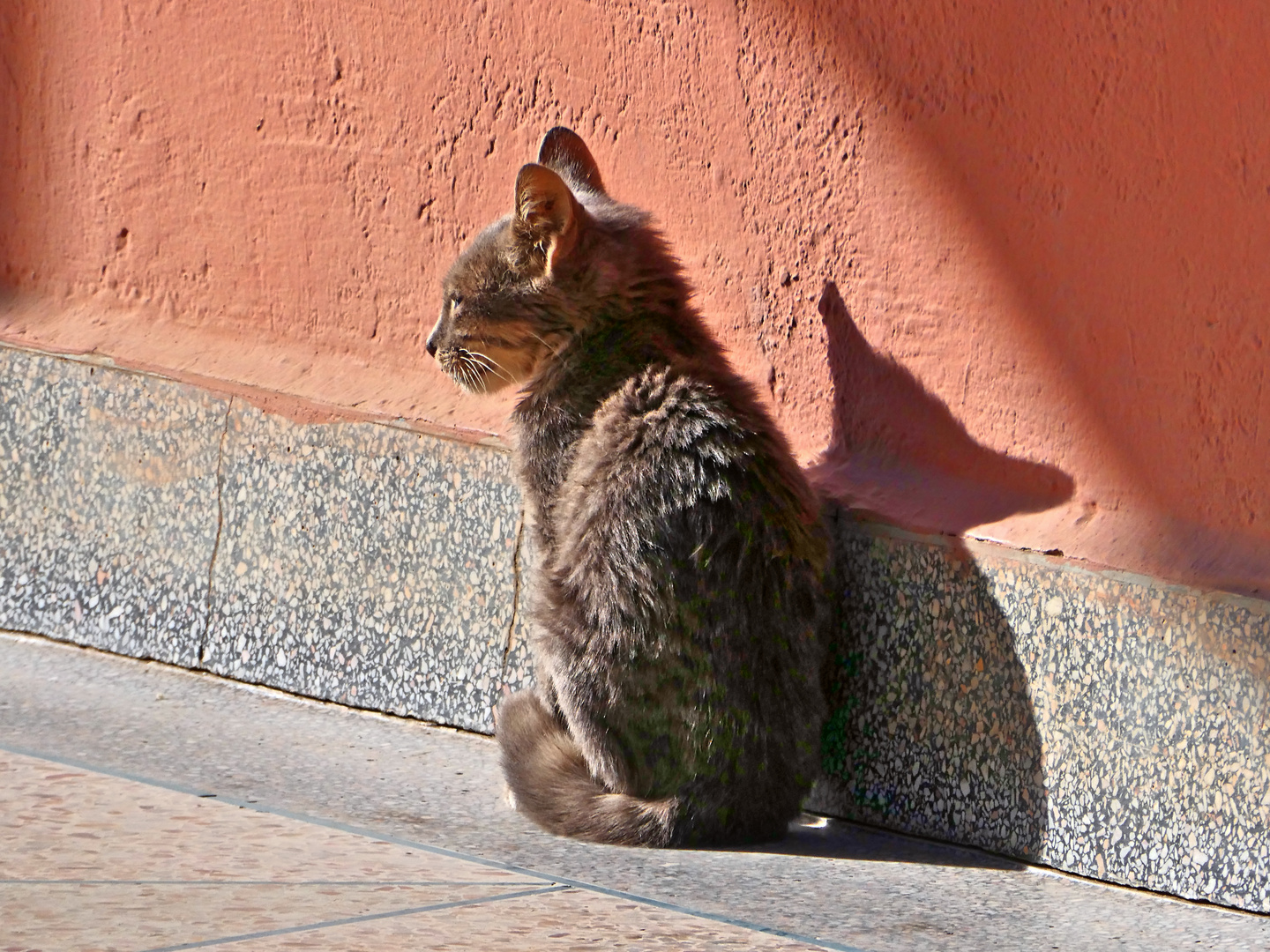 Siesta im Sonnenschein