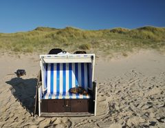 Siesta im Strandkorb