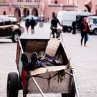 Siesta im Trubel von Marrakesch 1