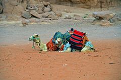 Siesta im Wadi Rum in Jordanien