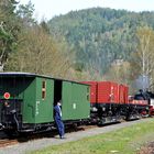 Siesta im Zittauer Gebirge