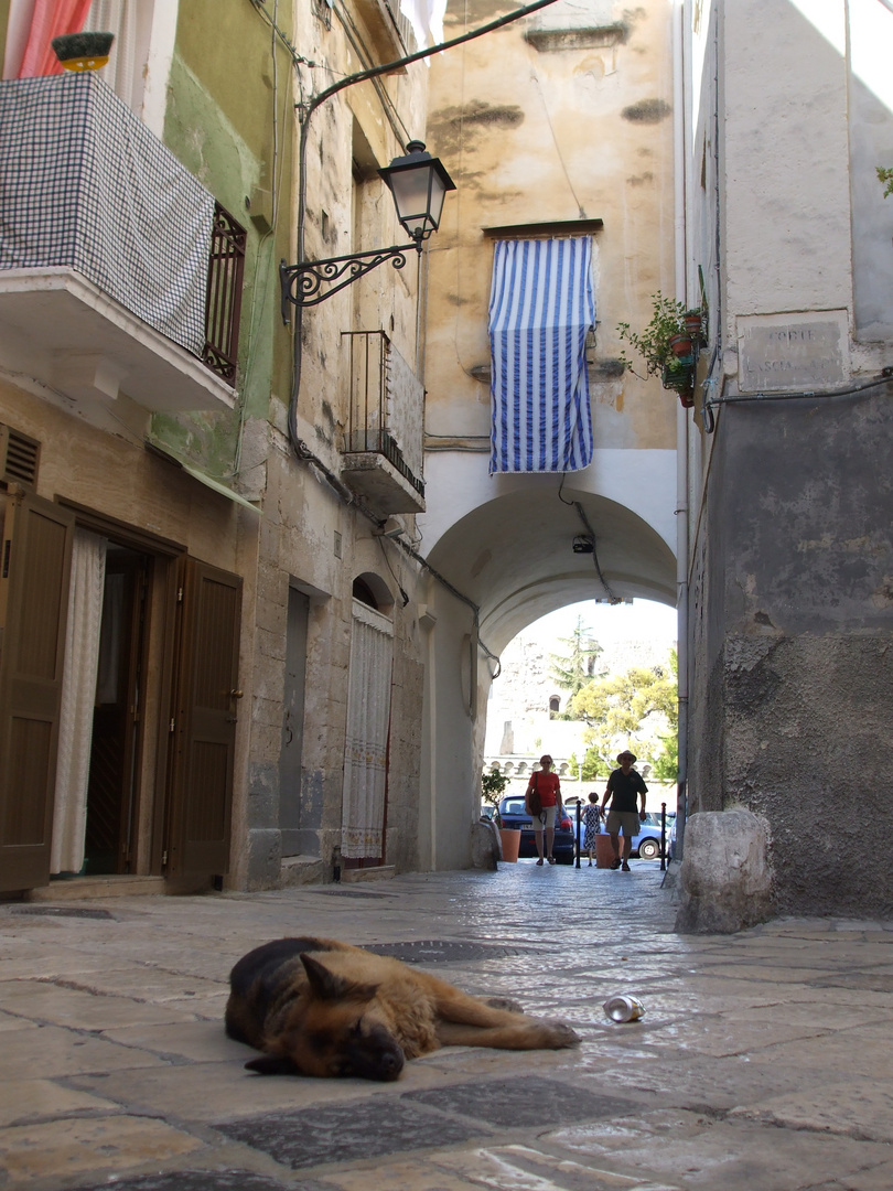 Siesta in Bari