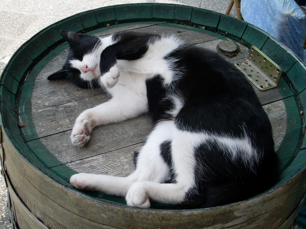 Siesta in Cala Ratjada