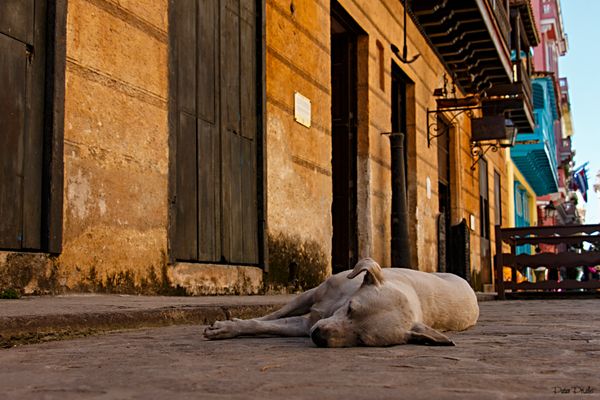 Siesta in der Altstadt von Havanna