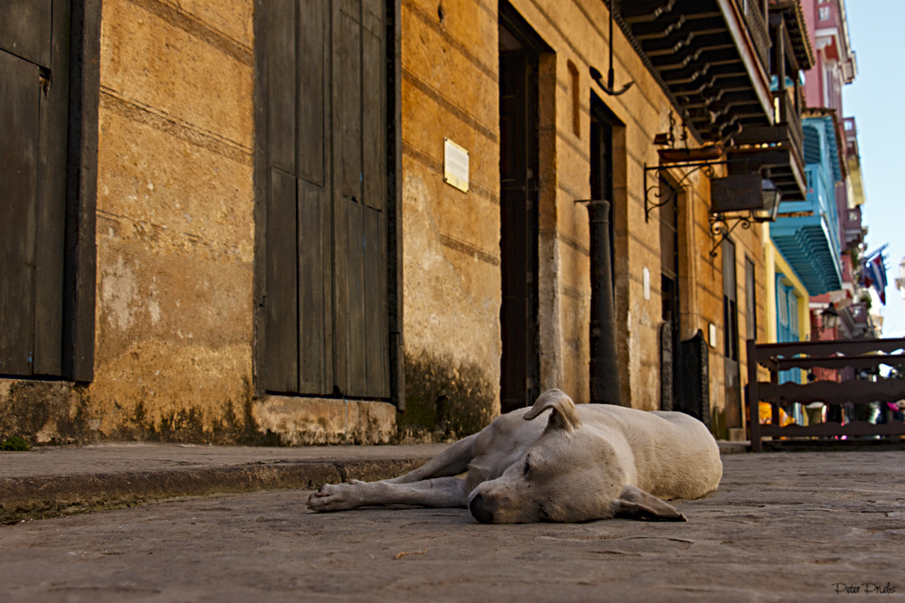 Siesta in der Altstadt von Havanna