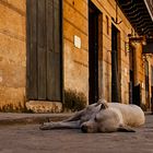 Siesta in der Altstadt von Havanna