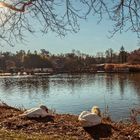 Siesta in der Dezembersonne