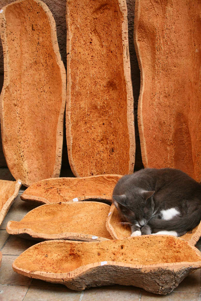 Siesta in der Provence