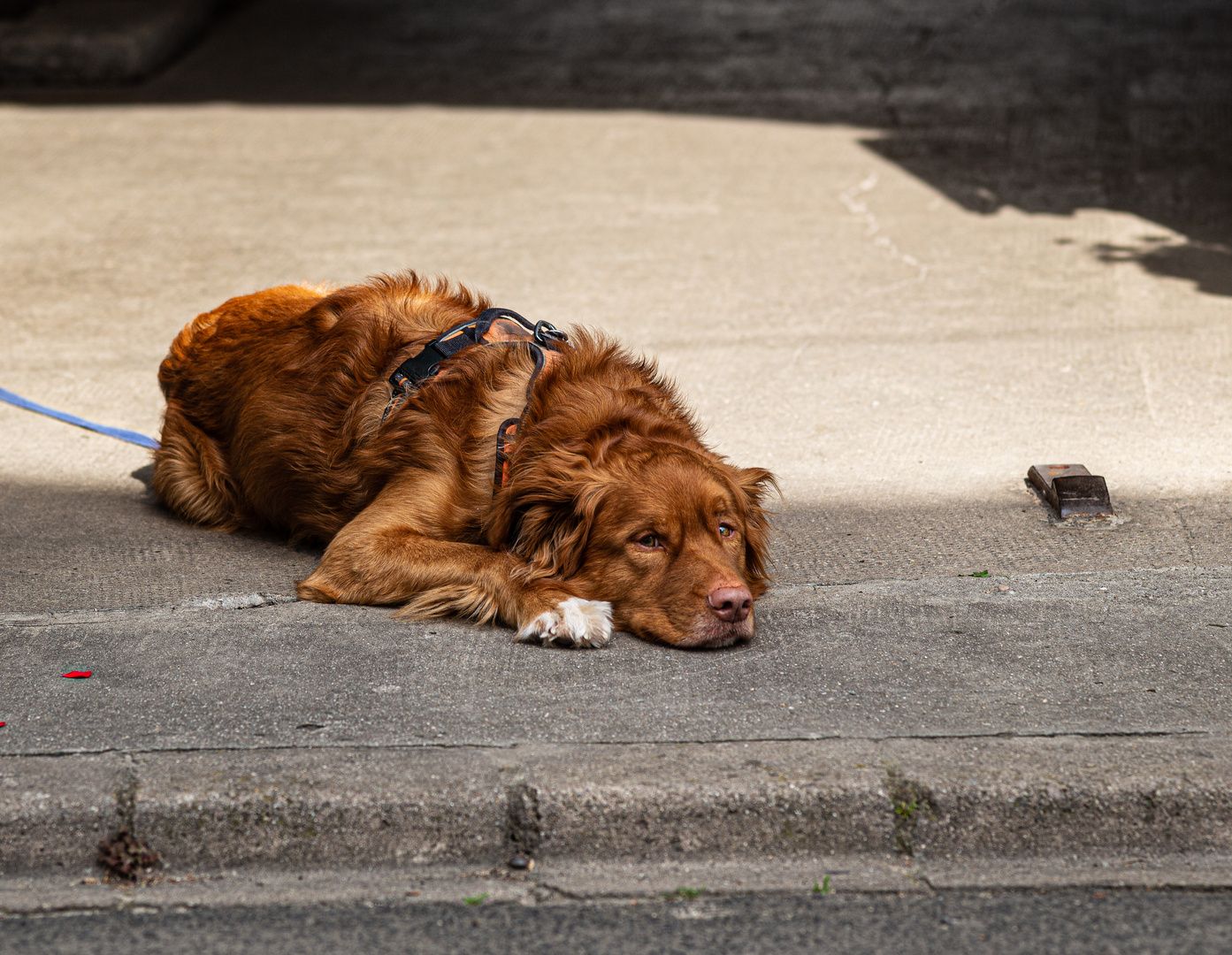 Siesta in der Toreinfahrt