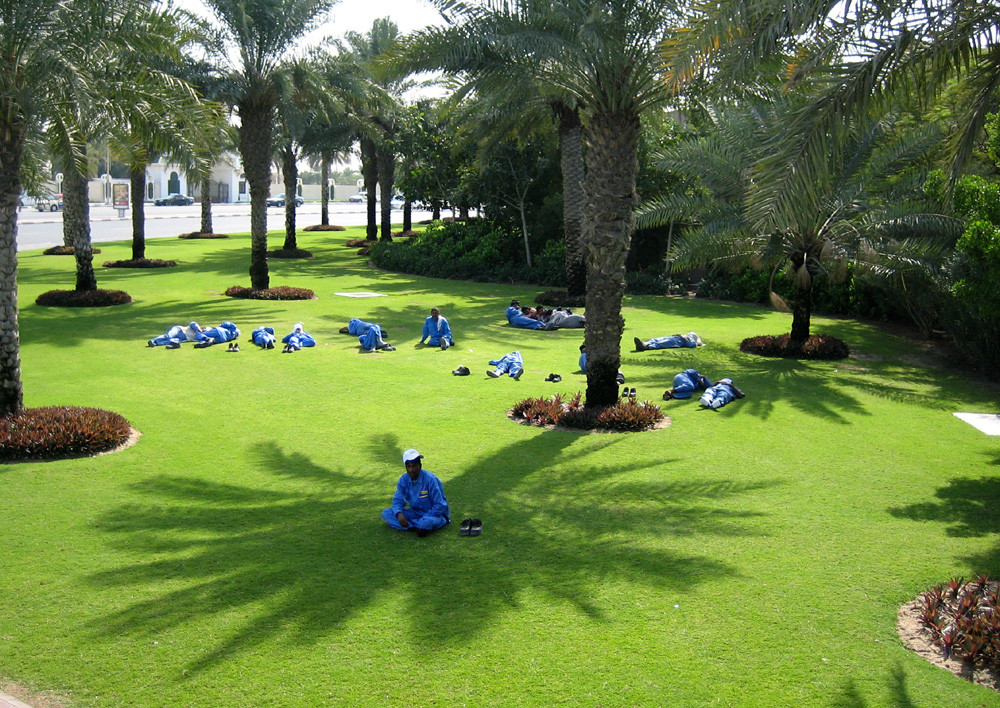 Siesta in Dubai