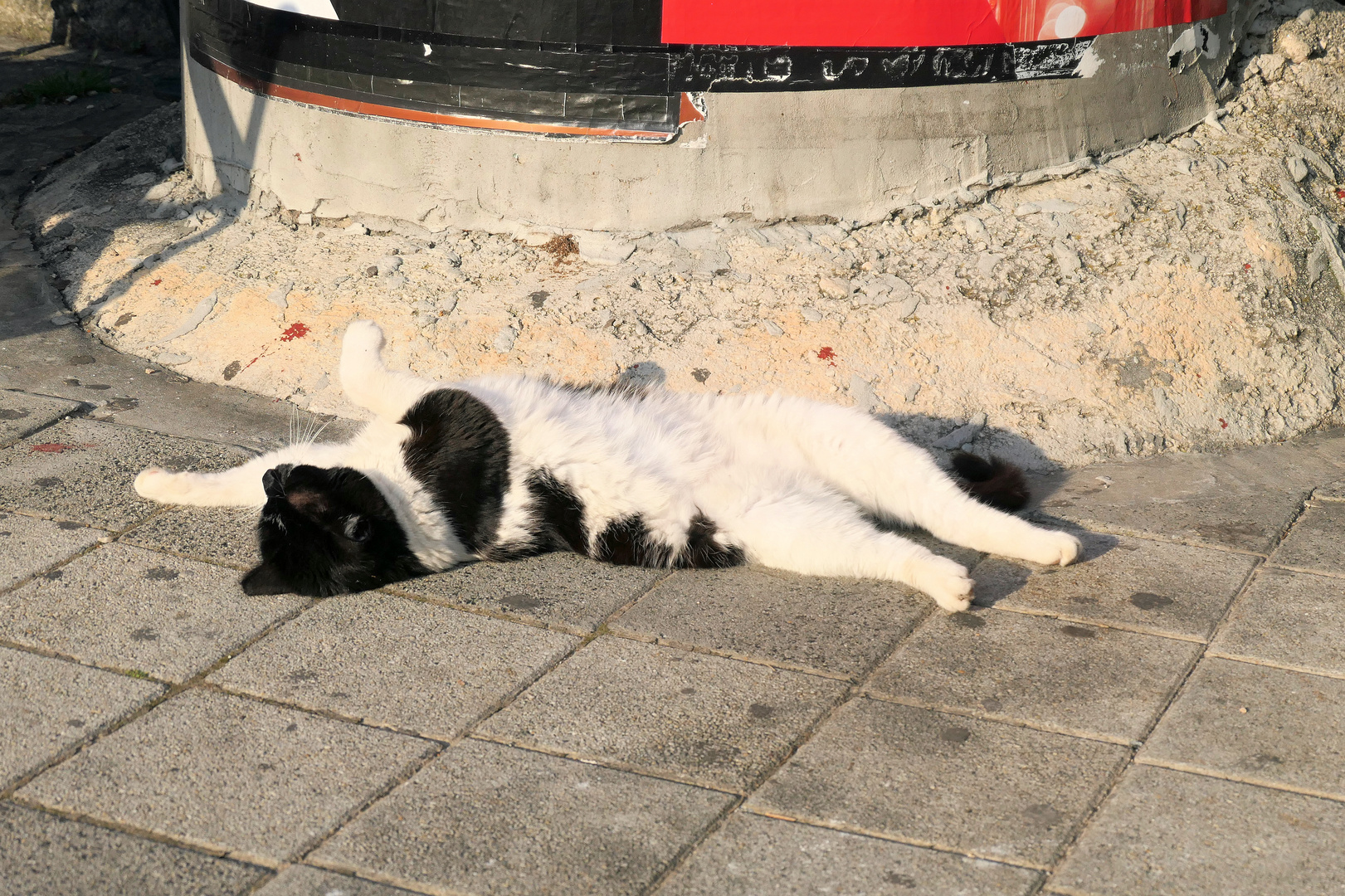 Siesta in Dubrovnik 1