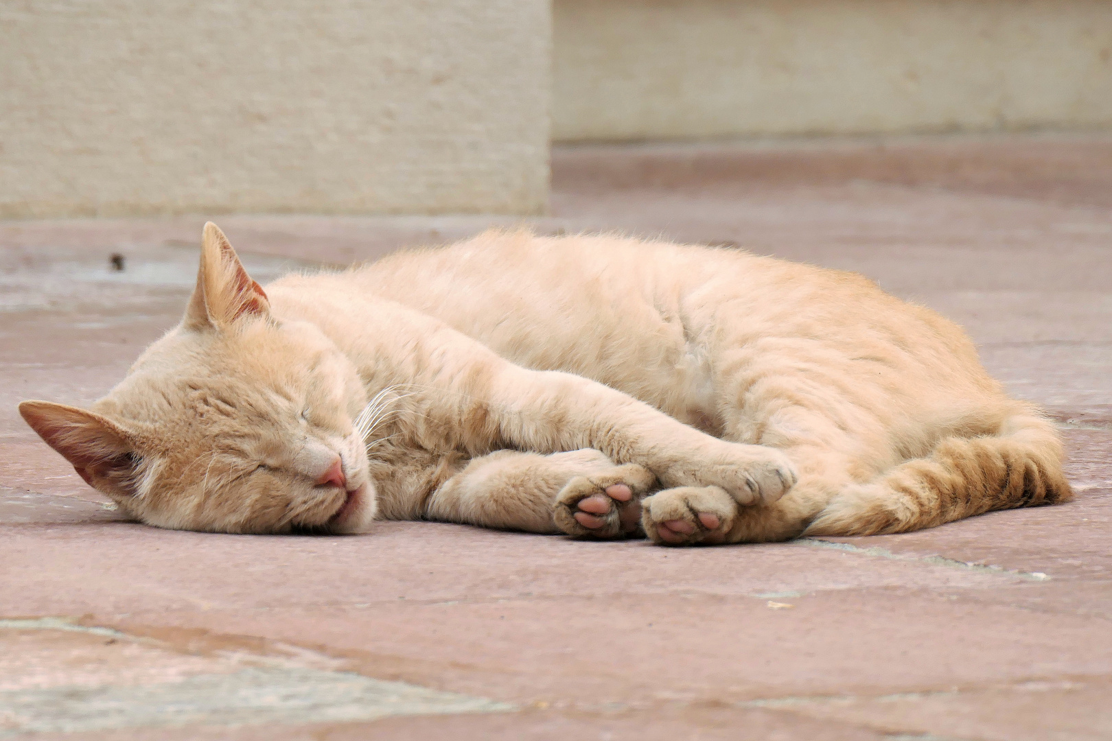 Siesta in Dubrovnik 2