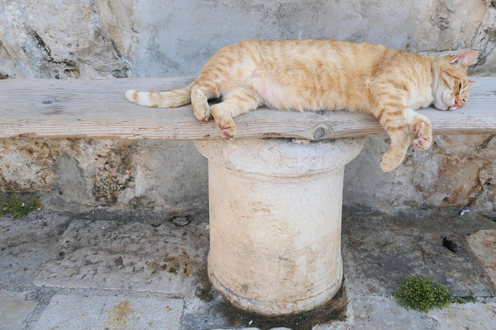 Siesta in Dubrovnik 4