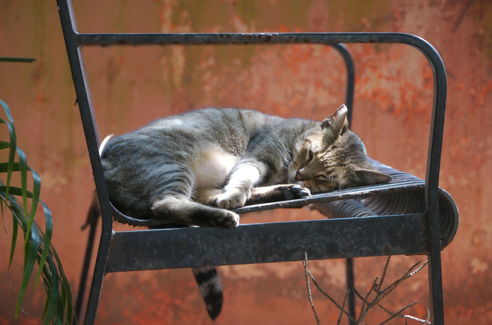 Siesta in einem geschützten Park in Viejo San Juan