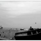 Siesta in Essaouira 