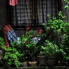 " Siesta in Marikina " , Manila