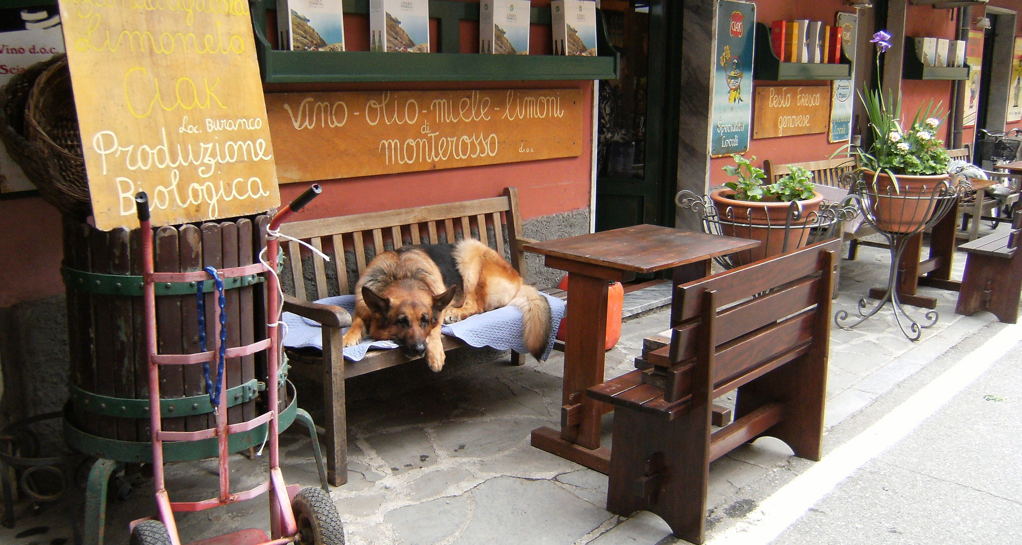 "siesta" in monterosso