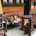 "siesta" in monterosso