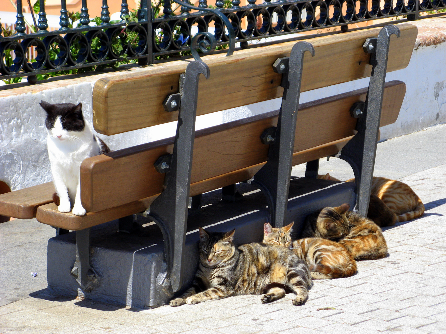 Siesta in Nerja