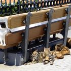 Siesta in Nerja