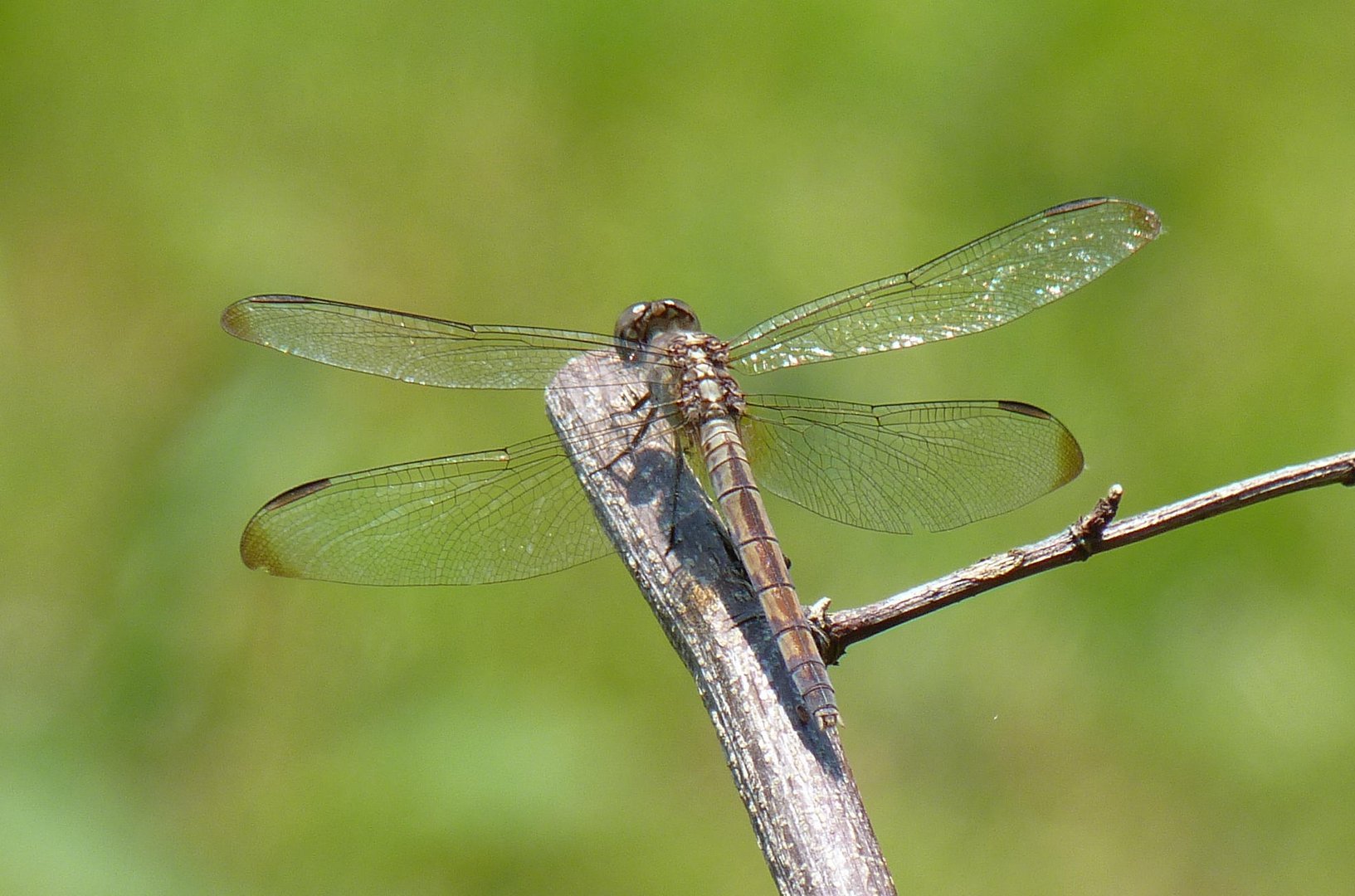 Siesta in Paraguay