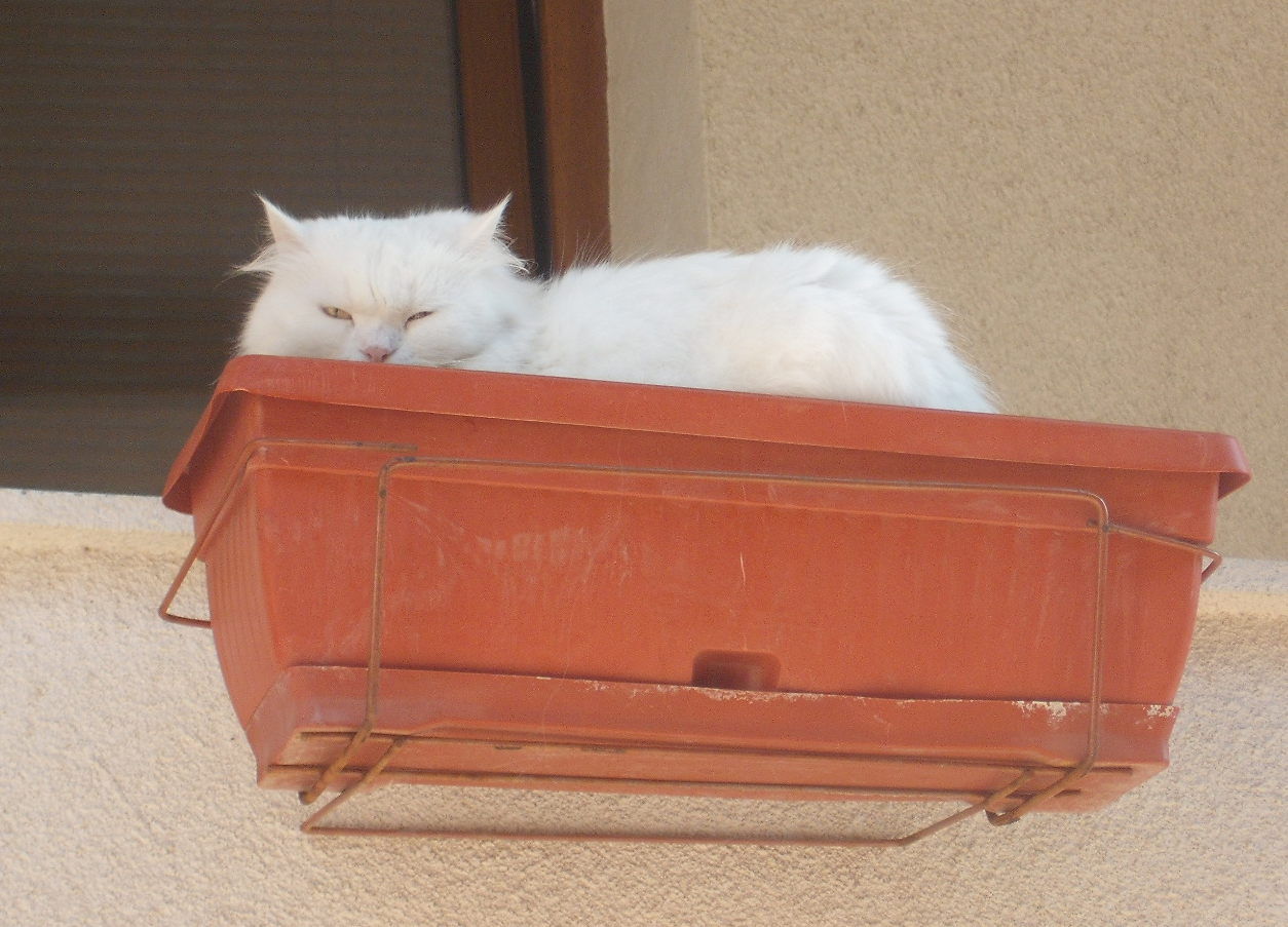 Siesta in Sozopol