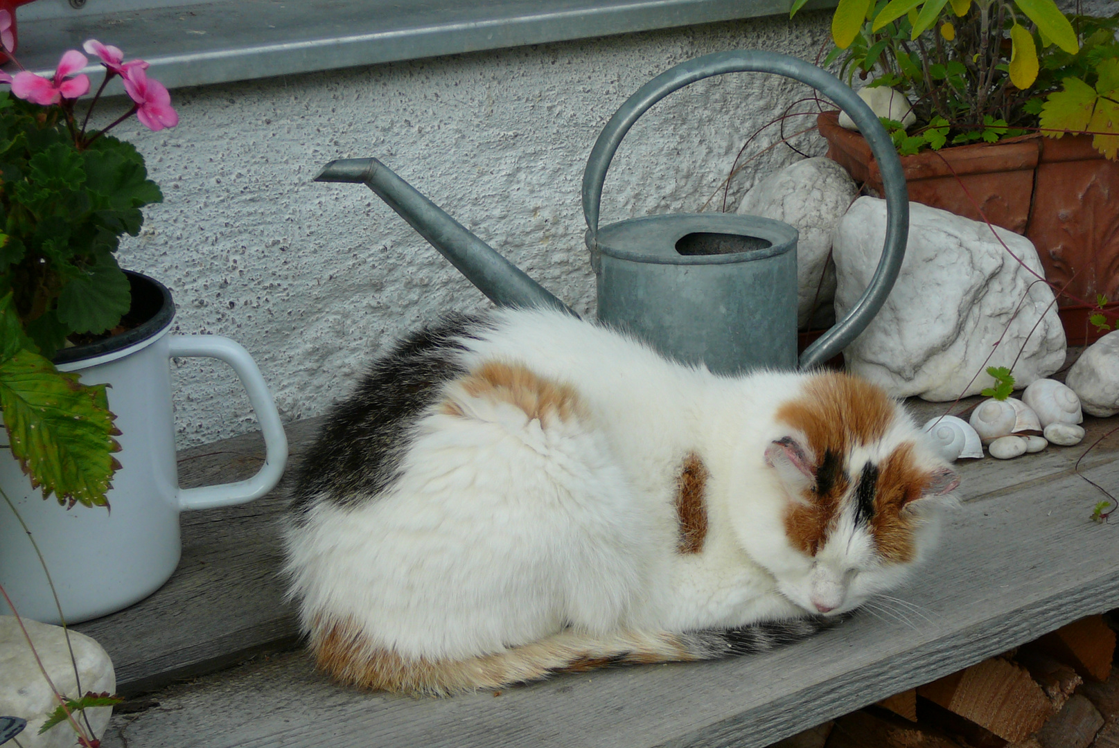 Siesta ist zu jeder Tageszeit möglich