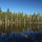 Siesta Lake