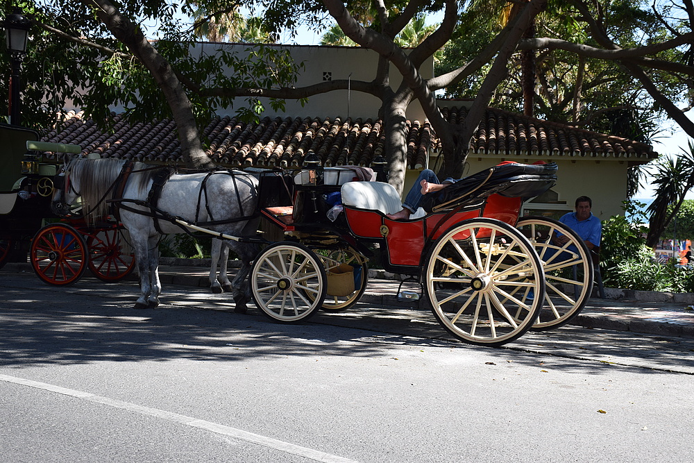 SIESTA ( Marbella-Sp.)