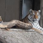 Siesta mit Mama