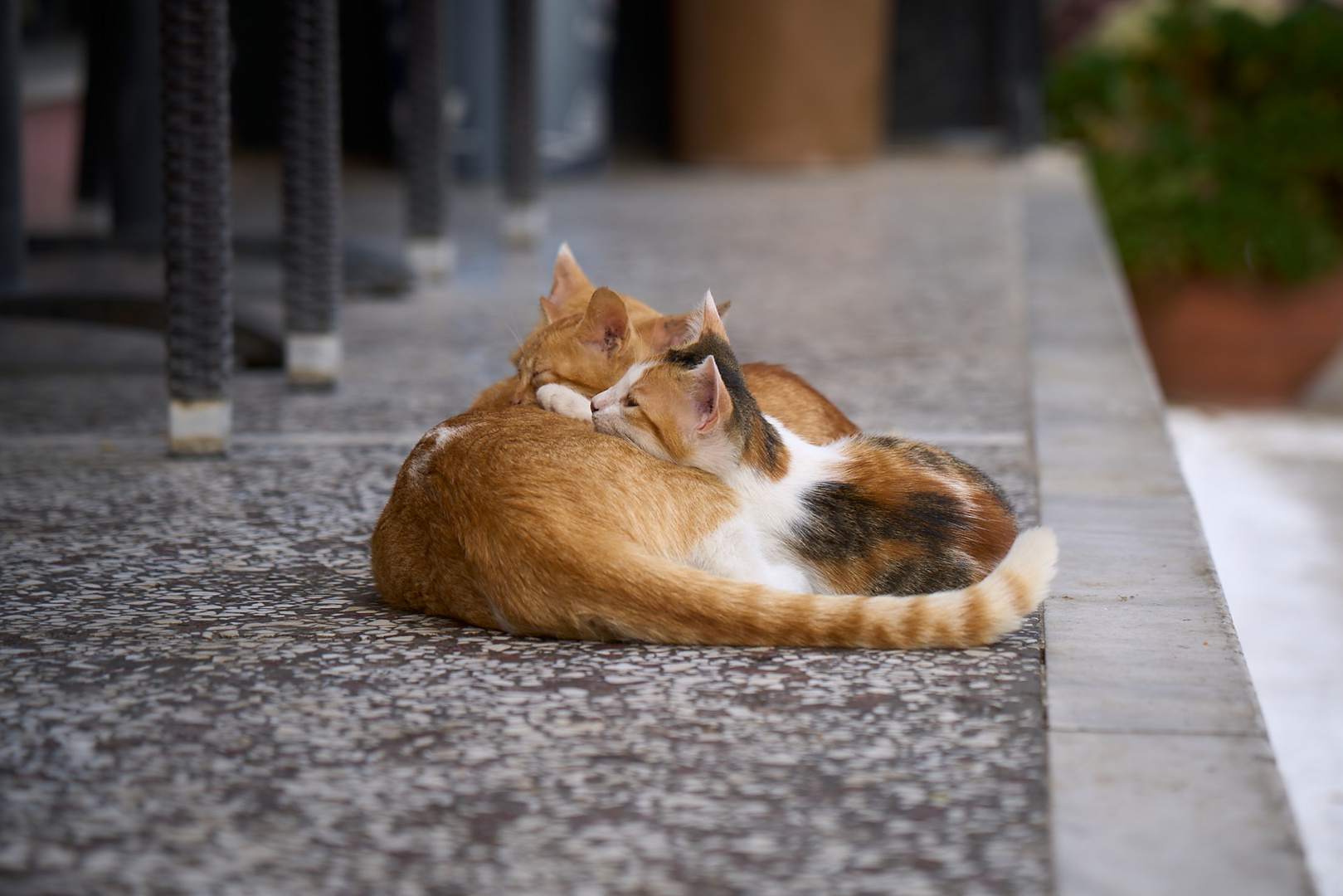 Siesta mit Mama