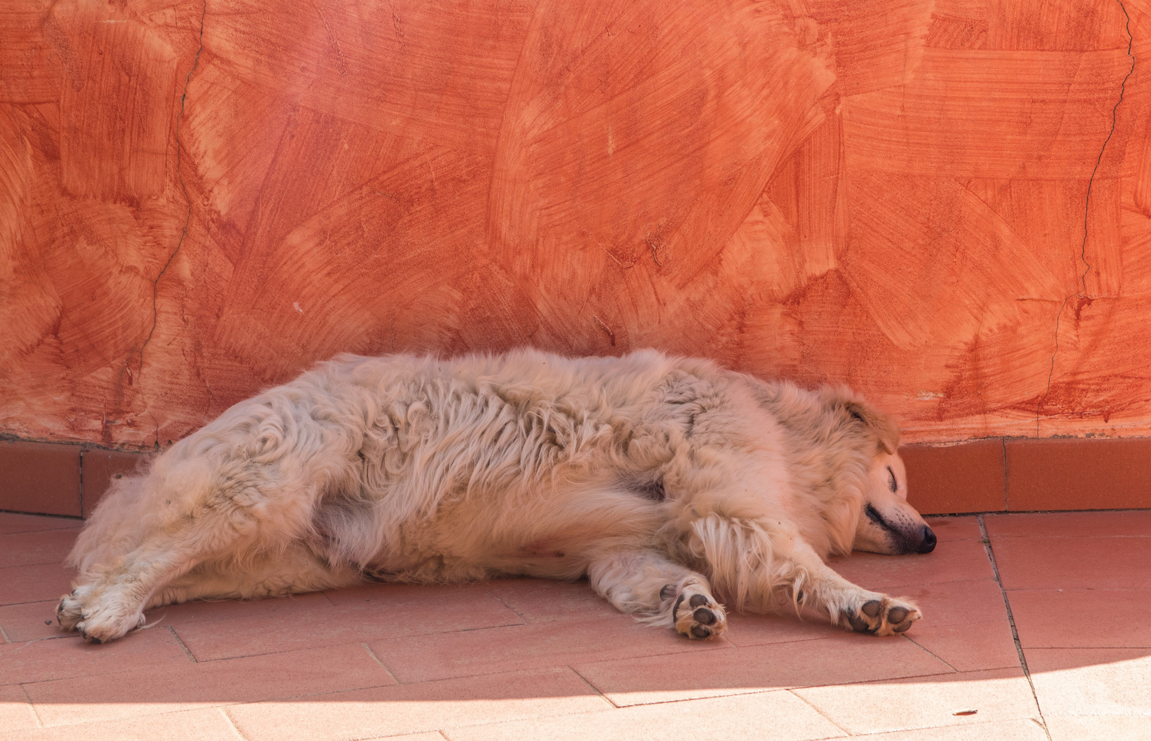 Siesta sardegna