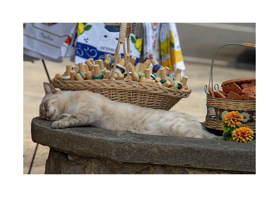 Siesta unter amalfitanischer Sonne