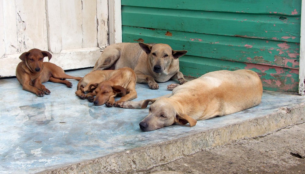 Siesta-Zeit