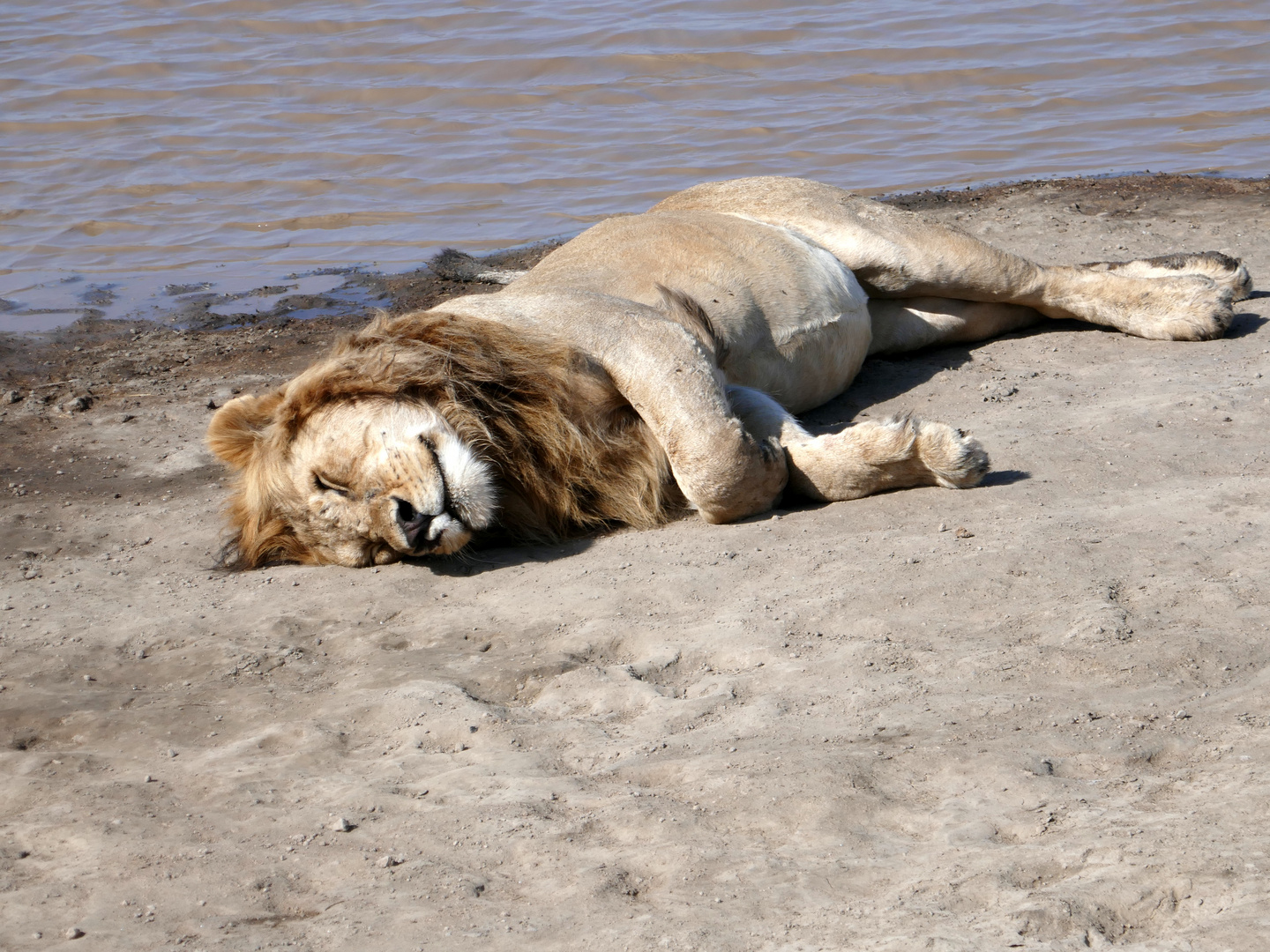 sieste au bord de l'eau