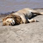 sieste au bord de l'eau