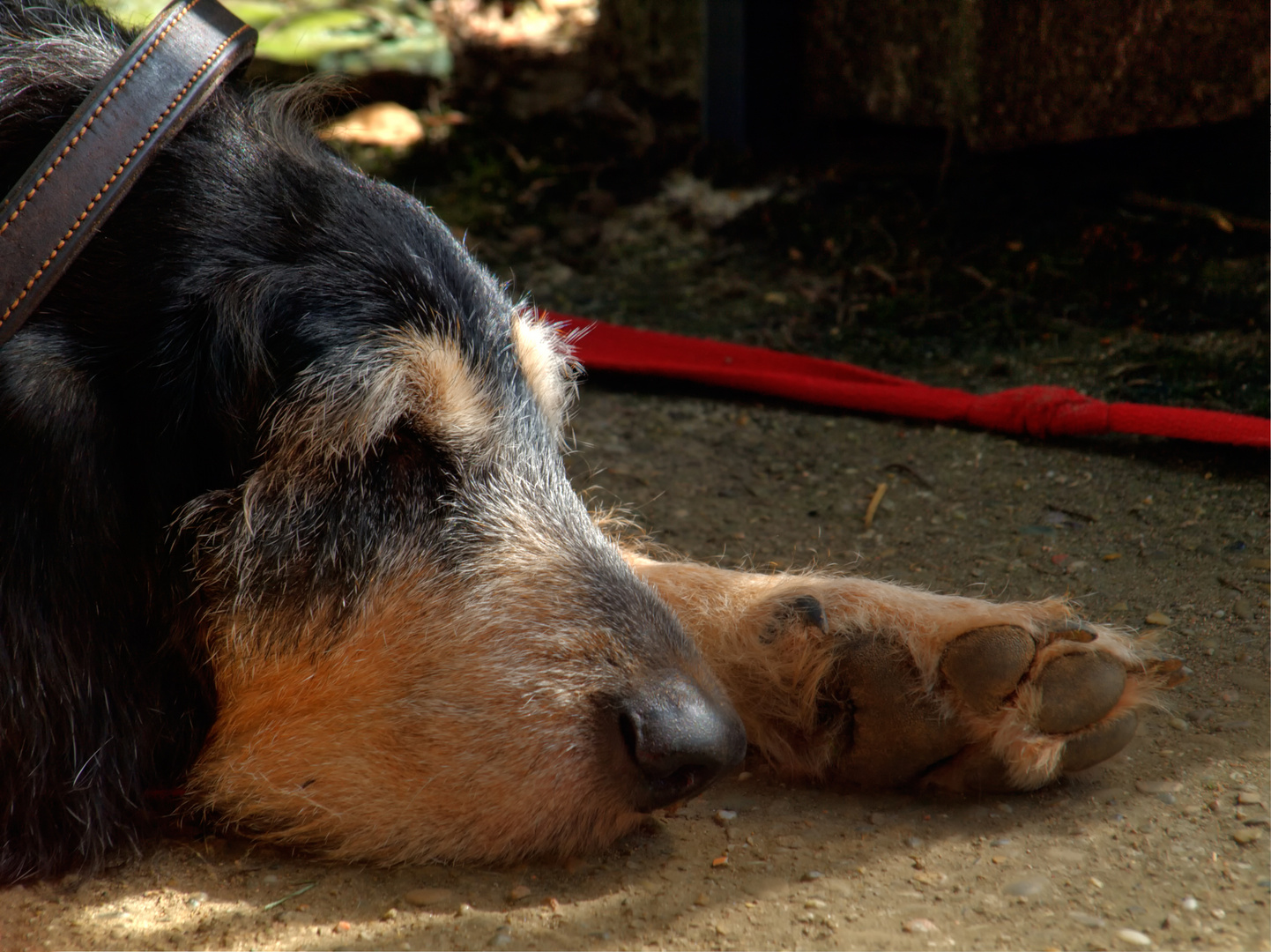 Sieste en septembre