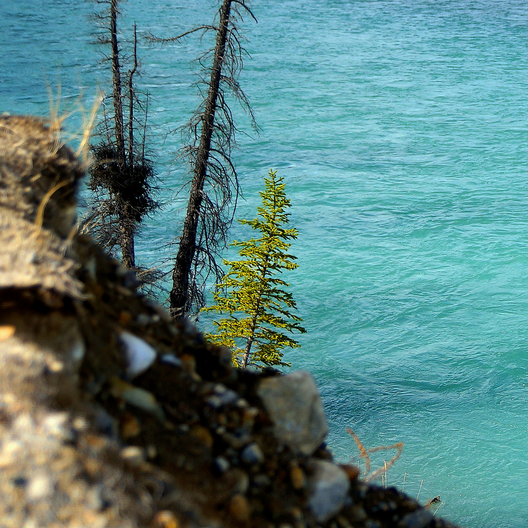 Siffleur Canyon, Canada