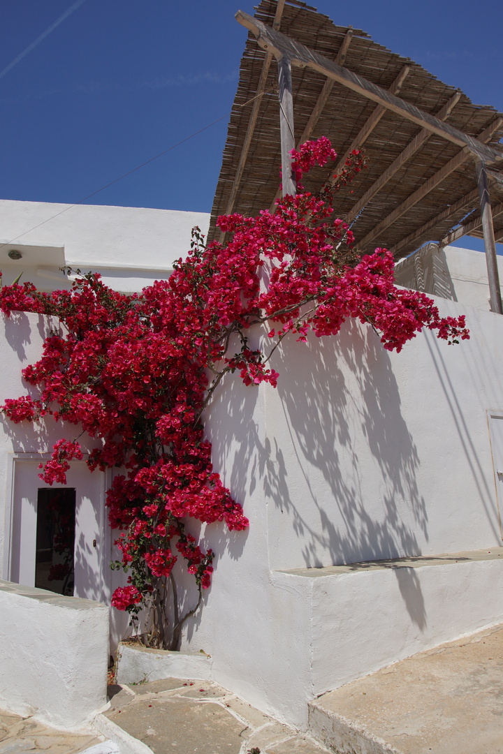 Sifnos - Ano Petali