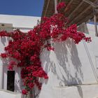 Sifnos - Ano Petali