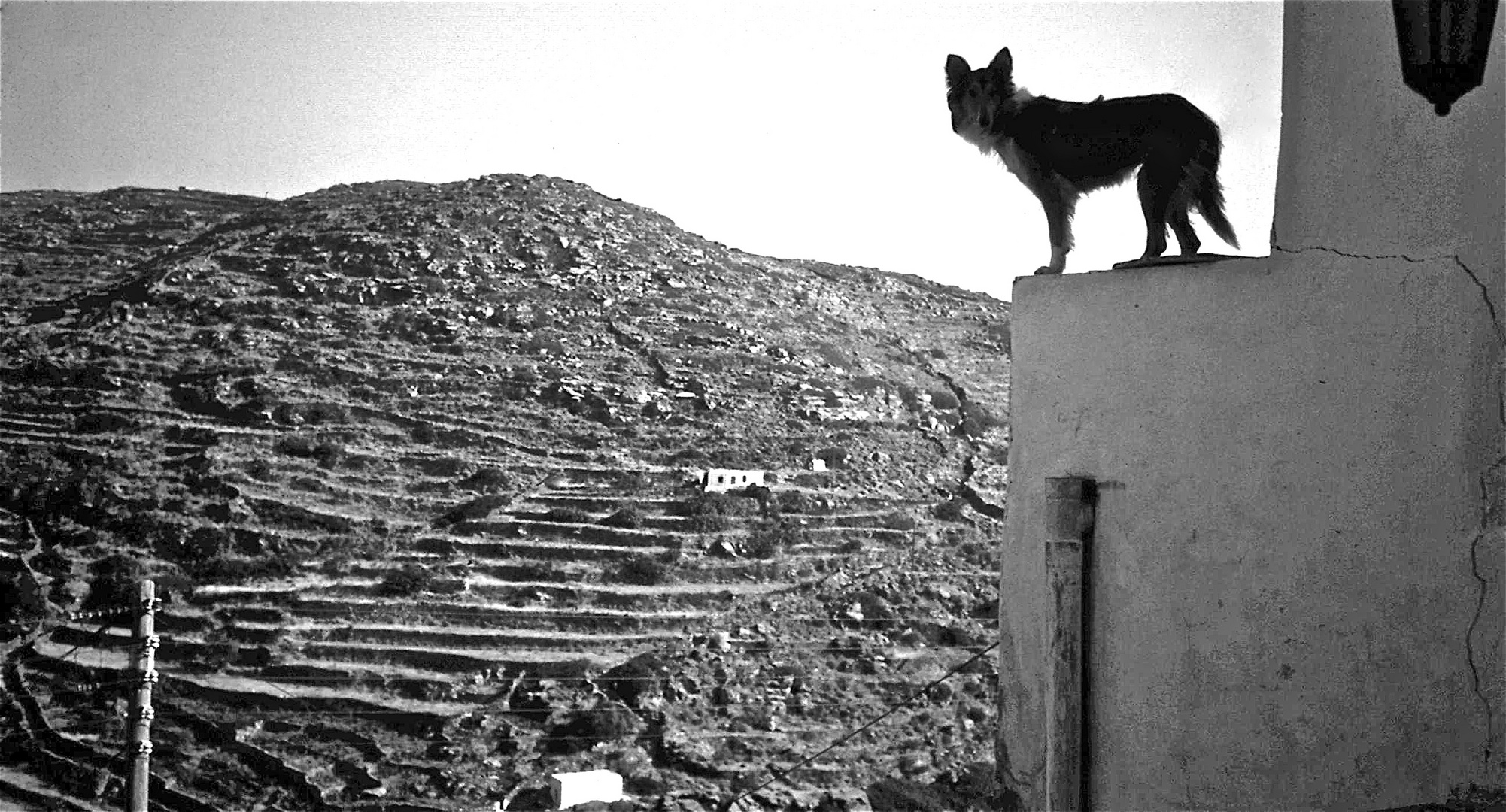 sifnos chora, kyklades greece 1985