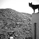 sifnos chora, kyklades greece 1985