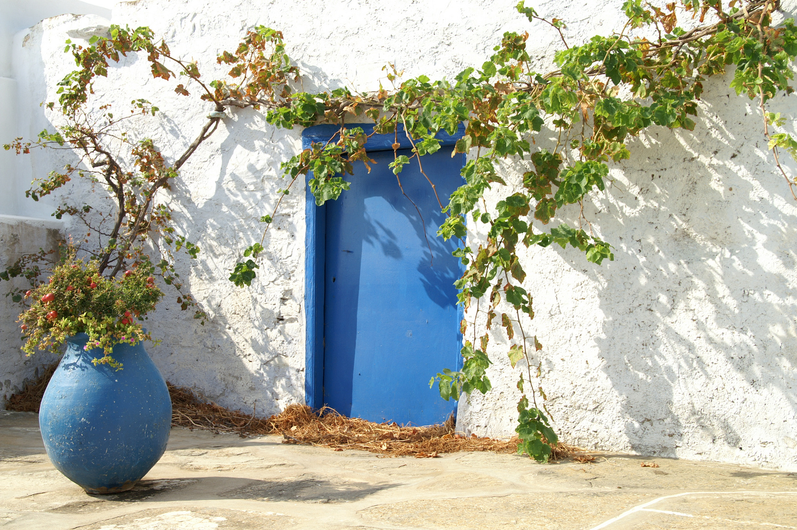 Sifnos - Petali