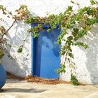 Sifnos - Petali