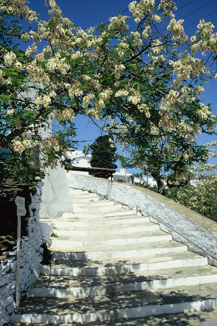 Sifnos, Treppe nach Artemona