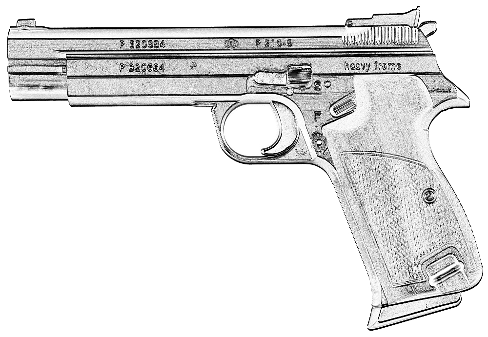 SIG 210