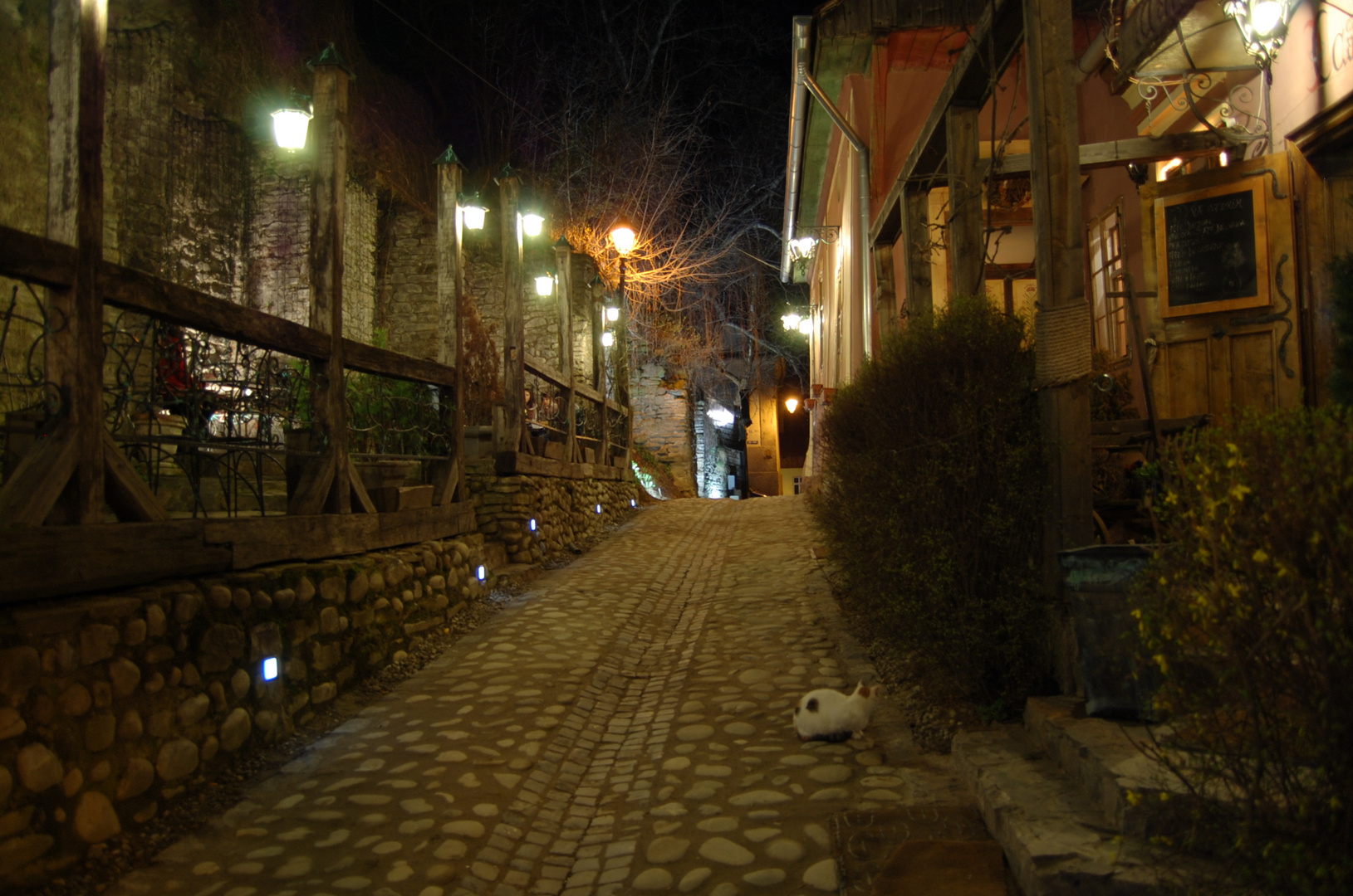 Sighisoara