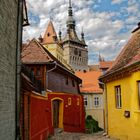 Sighisoara Stundturm